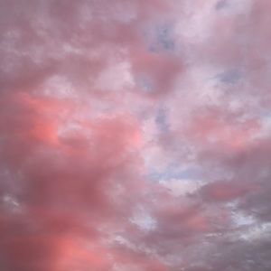 Meet your Posher, Mia